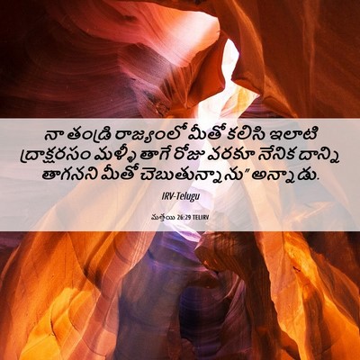 Picture 06 - మత్తయి 26:29 TELIRV - నా తండ్రి - Bible Verse Picture