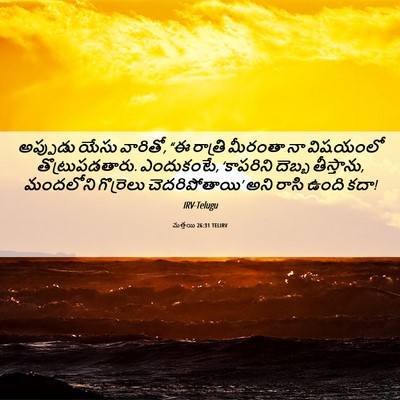 Picture 06 - మత్తయి 26:31 TELIRV - అప్పుడు యేసు - Bible Verse Picture