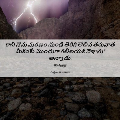 Picture 06 - మత్తయి 26:32 TELIRV - కాని నేను మరణం - Bible Verse Picture