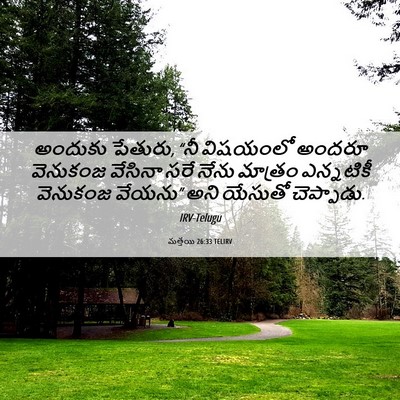 Picture 06 - మత్తయి 26:33 TELIRV - అందుకు పేతురు, “నీ - Bible Verse Picture