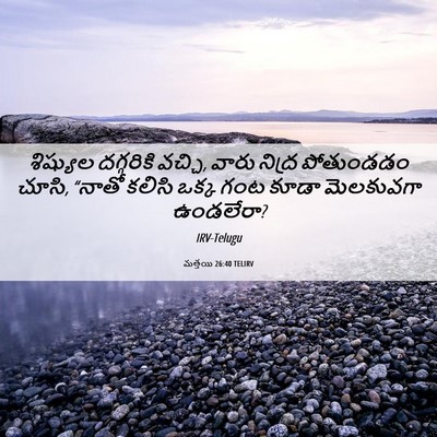 Picture 06 - మత్తయి 26:40 TELIRV - శిష్యుల దగ్గరికి - Bible Verse Picture