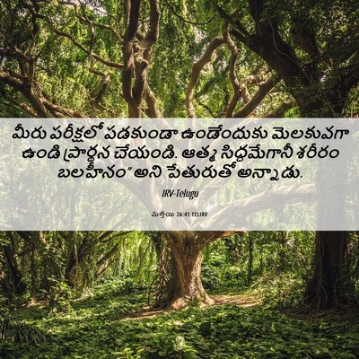 Picture 06 - మత్తయి 26:41 TELIRV - మీరు పరీక్షలో - Bible Verse Picture