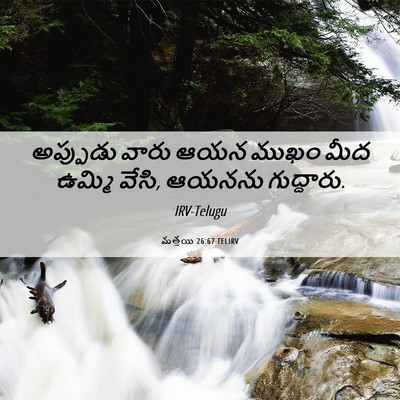 Picture 06 - మత్తయి 26:67 TELIRV - అప్పుడు వారు ఆయన - Bible Verse Picture