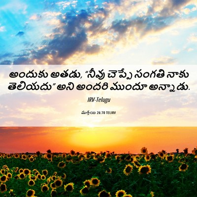 Picture 06 - మత్తయి 26:70 TELIRV - అందుకు అతడు, “నీవు - Bible Verse Picture