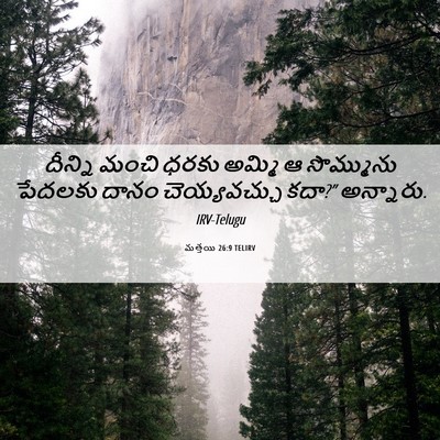 Picture 06 - మత్తయి 26:9 TELIRV - దీన్ని మంచి ధరకు - Bible Verse Picture