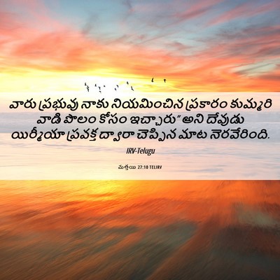 Picture 06 - మత్తయి 27:10 TELIRV - వారు ప్రభువు నాకు - Bible Verse Picture