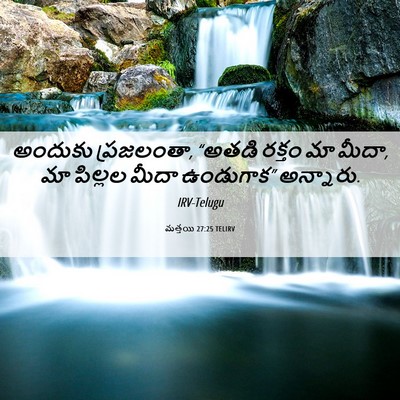 Picture 06 - మత్తయి 27:25 TELIRV - అందుకు ప్రజలంతా, - Bible Verse Picture