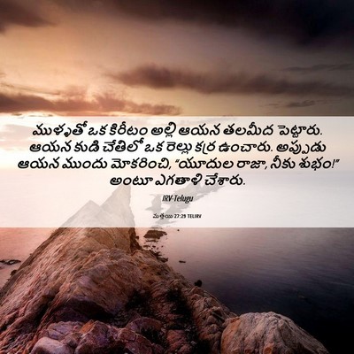 Picture 06 - మత్తయి 27:29 TELIRV - ముళ్ళతో ఒక కిరీటం - Bible Verse Picture