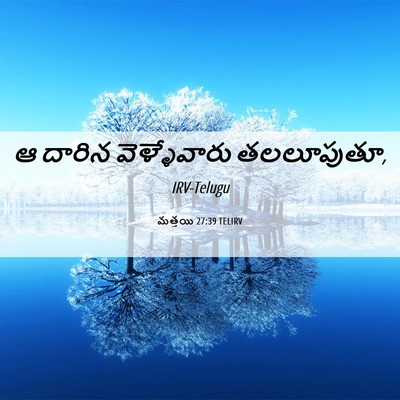 Picture 06 - మత్తయి 27:39 TELIRV - ఆ దారిన - Bible Verse Picture