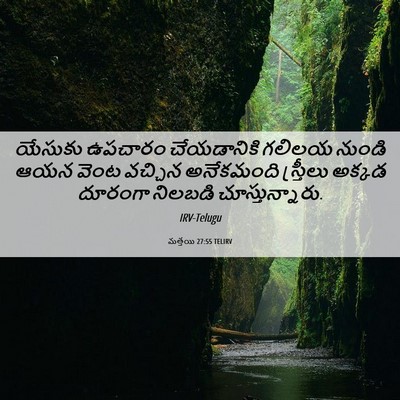 Picture 06 - మత్తయి 27:55 TELIRV - యేసుకు ఉపచారం - Bible Verse Picture