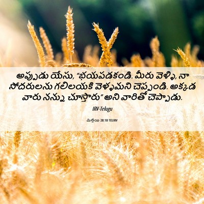 Picture 06 - మత్తయి 28:10 TELIRV - అప్పుడు యేసు, - Bible Verse Picture