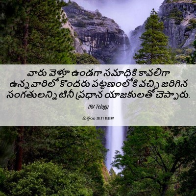Picture 06 - మత్తయి 28:11 TELIRV - వారు వెళ్తూ ఉండగా - Bible Verse Picture