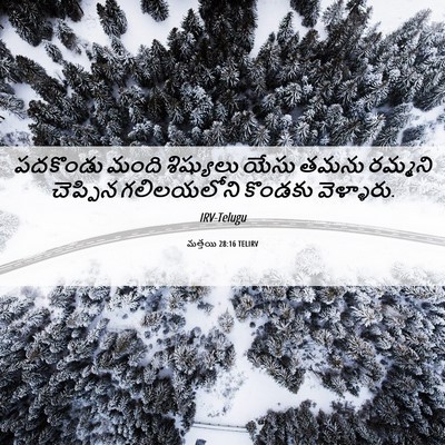 Picture 06 - మత్తయి 28:16 TELIRV - పదకొండు మంది - Bible Verse Picture