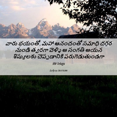 Picture 06 - మత్తయి 28:8 TELIRV - వారు భయంతో, మహా - Bible Verse Picture