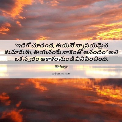 Picture 06 - మత్తయి 3:17 TELIRV - “ఇదిగో చూడండి, - Bible Verse Picture