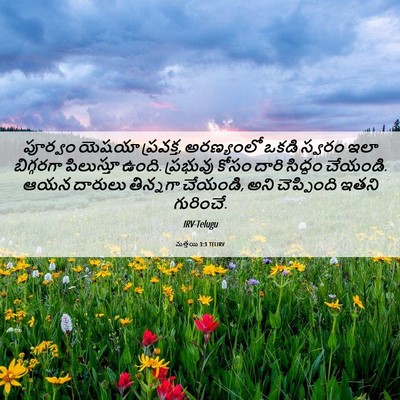Picture 06 - మత్తయి 3:3 TELIRV - పూర్వం యెషయా - Bible Verse Picture