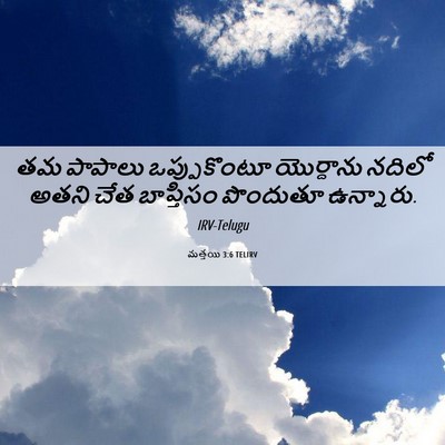 Picture 06 - మత్తయి 3:6 TELIRV - తమ పాపాలు - Bible Verse Picture