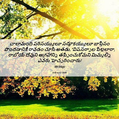 Picture 06 - మత్తయి 3:7 TELIRV - చాలామంది - Bible Verse Picture