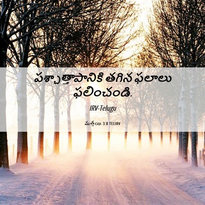Picture 06 - మత్తయి 3:8 TELIRV - పశ్చాత్తాపానికి - Bible Verse Picture