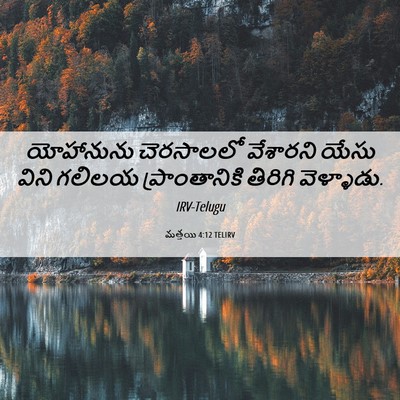 Picture 06 - మత్తయి 4:12 TELIRV - యోహానును చెరసాలలో - Bible Verse Picture