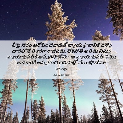 Picture 06 - మత్తయి 5:25 TELIRV - నీపై నేరం - Bible Verse Picture