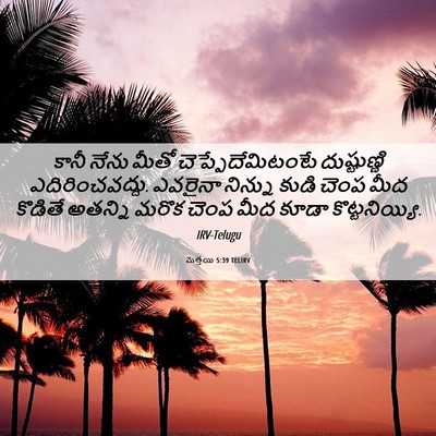 Picture 06 - మత్తయి 5:39 TELIRV - కానీ నేను మీతో - Bible Verse Picture
