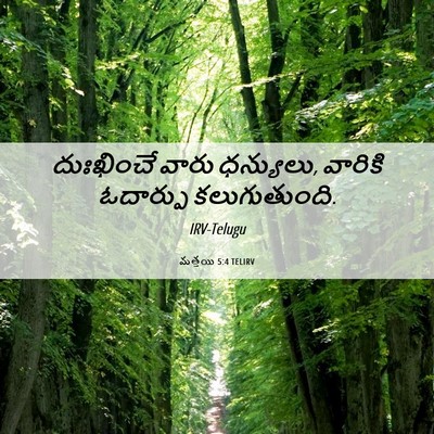 Picture 06 - మత్తయి 5:4 TELIRV - దుఃఖించే వారు - Bible Verse Picture