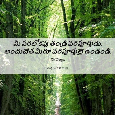 Picture 06 - మత్తయి 5:48 TELIRV - మీ పరలోకపు తండ్రి - Bible Verse Picture