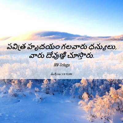 Picture 06 - మత్తయి 5:8 TELIRV - పవిత్ర హృదయం - Bible Verse Picture