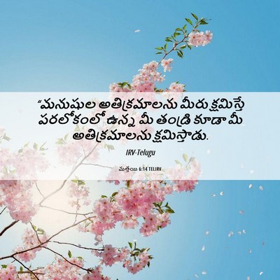Picture 06 - మత్తయి 6:14 TELIRV - “మనుషుల - Bible Verse Picture