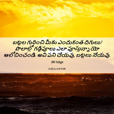 Picture 06 - మత్తయి 6:28 TELIRV - బట్టల గురించి - Bible Verse Picture