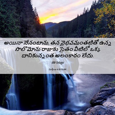 Picture 06 - మత్తయి 6:29 TELIRV - అయినా నేనంటాను, తన - Bible Verse Picture