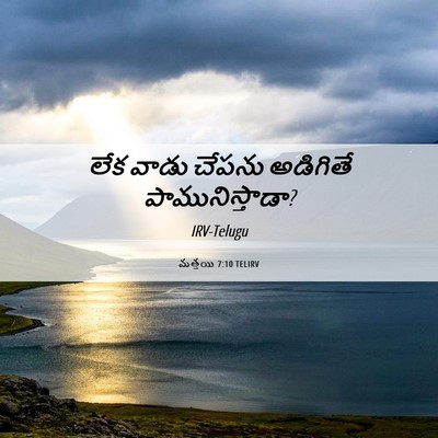 Picture 06 - మత్తయి 7:10 TELIRV - లేక వాడు చేపను - Bible Verse Picture