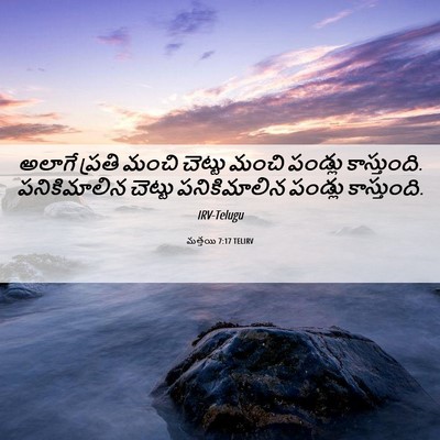 Picture 06 - మత్తయి 7:17 TELIRV - అలాగే ప్రతి మంచి - Bible Verse Picture