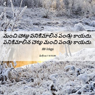 Picture 06 - మత్తయి 7:18 TELIRV - మంచి చెట్టు - Bible Verse Picture