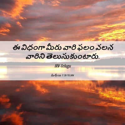 Picture 06 - మత్తయి 7:20 TELIRV - ఈ విధంగా మీరు వారి - Bible Verse Picture