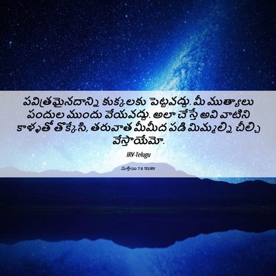 Picture 06 - మత్తయి 7:6 TELIRV - పవిత్రమైనదాన్ని - Bible Verse Picture