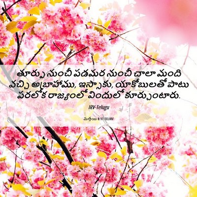 Picture 06 - మత్తయి 8:11 TELIRV - తూర్పు నుంచీ పడమర - Bible Verse Picture