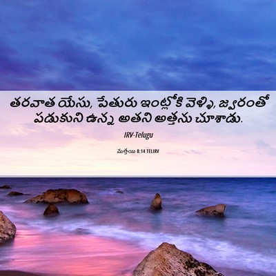 Picture 06 - మత్తయి 8:14 TELIRV - తరవాత యేసు, పేతురు - Bible Verse Picture