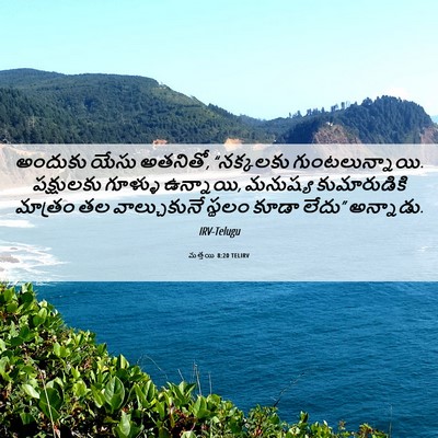Picture 06 - మత్తయి 8:20 TELIRV - అందుకు యేసు - Bible Verse Picture