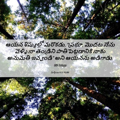 Picture 06 - మత్తయి 8:21 TELIRV - ఆయన శిష్యుల్లో - Bible Verse Picture