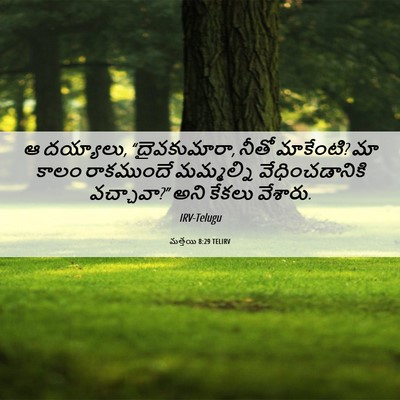 Picture 06 - మత్తయి 8:29 TELIRV - ఆ దయ్యాలు, - Bible Verse Picture