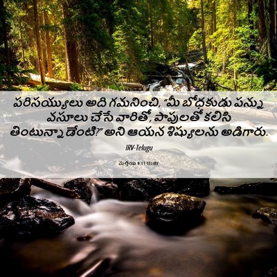 Picture 06 - మత్తయి 9:11 TELIRV - పరిసయ్యులు అది - Bible Verse Picture