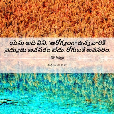 Picture 06 - మత్తయి 9:12 TELIRV - యేసు అది విని, - Bible Verse Picture