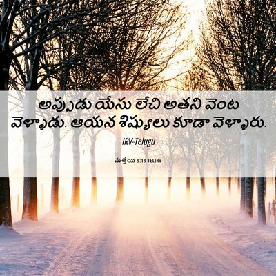 Picture 06 - మత్తయి 9:19 TELIRV - అప్పుడు యేసు లేచి - Bible Verse Picture