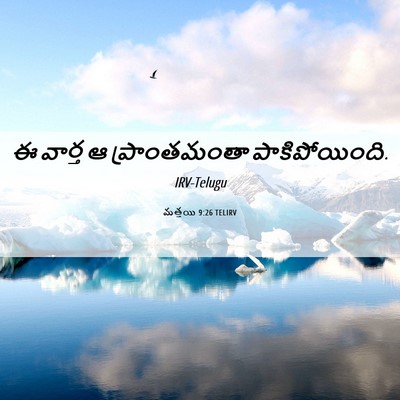 Picture 06 - మత్తయి 9:26 TELIRV - ఈ వార్త ఆ - Bible Verse Picture