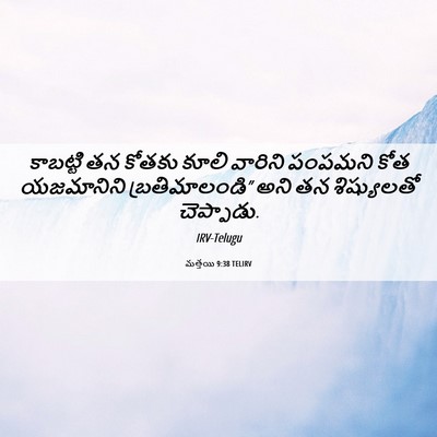 Picture 06 - మత్తయి 9:38 TELIRV - కాబట్టి తన కోతకు - Bible Verse Picture