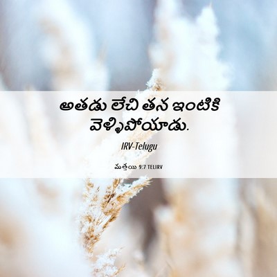 Picture 06 - మత్తయి 9:7 TELIRV - అతడు లేచి తన - Bible Verse Picture