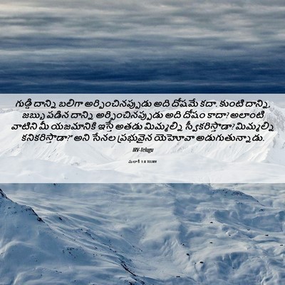 Picture 06 - మలాకీ 1:8 TELIRV - గుడ్డి దాన్ని - Bible Verse Picture
