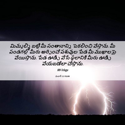 Picture 06 - మలాకీ 2:3 TELIRV - మిమ్మల్ని బట్టి - Bible Verse Picture